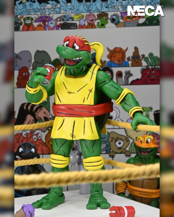 Teenage Mutant Ninja Turtles Adventures Stump Wrestling Turtles (Archie Comics) Four-Pack - Www.Shopthatapp.ca